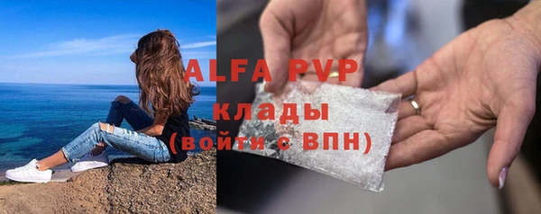 сатива Заволжье