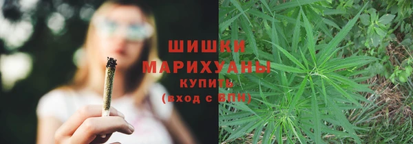 стафф Заволжск