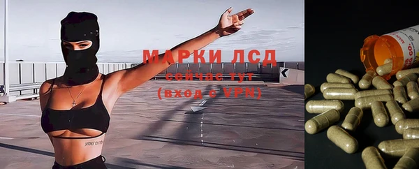 стафф Заволжск