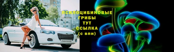 стафф Заволжск