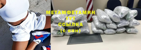 сатива Заволжье