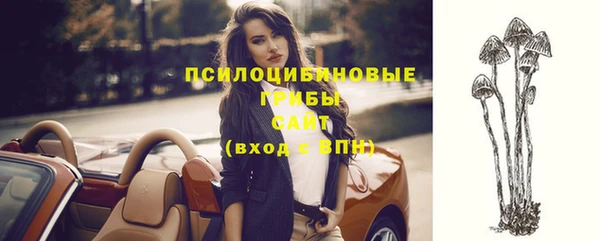 сатива Заволжье