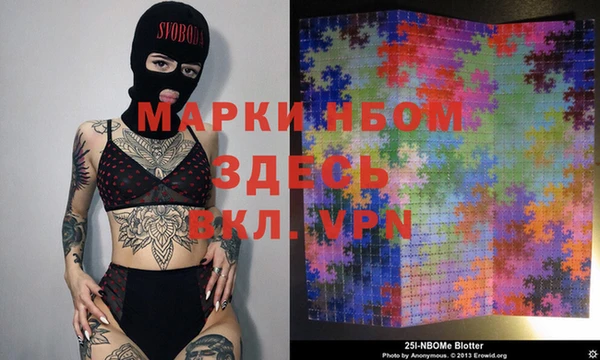 сатива Заволжье