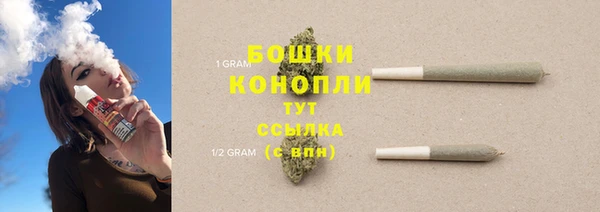 сатива Заволжье