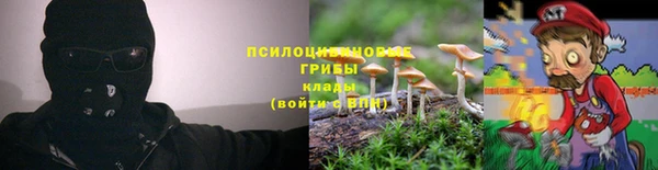 герыч Заводоуковск