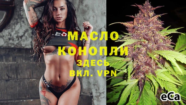 сатива Заволжье