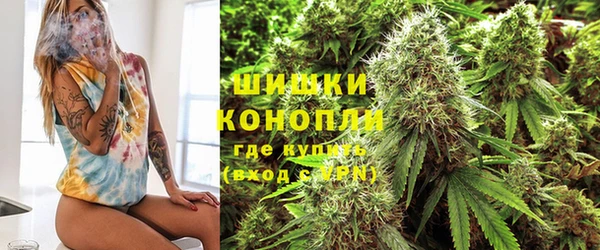стафф Заволжск