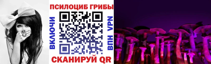 Псилоцибиновые грибы Magic Shrooms  Купить  Западная Двина 