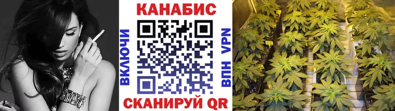Купить где  Западная Двина  Бошки Шишки индика 